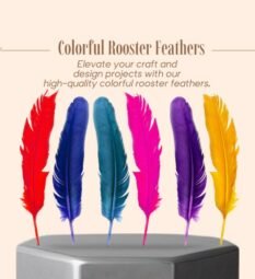 ¡Plumas de Gallo Naturales - Paquete de 12 en Colores Vivos!