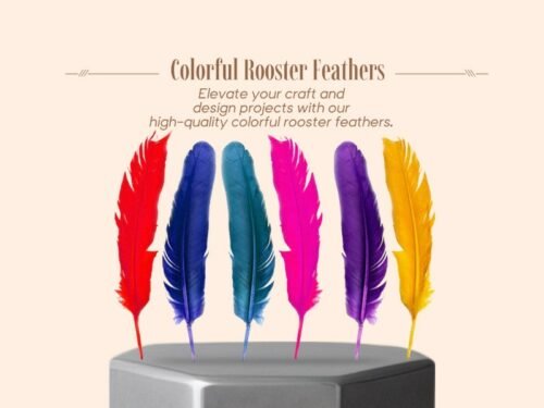 ¡Plumas de Gallo Naturales - Paquete de 12 en Colores Vivos!