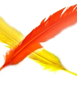 Alternative view of ¡Plumas de Gallo Naturales - Paquete de 12 en Colores Vivos!