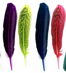 "Alas de Color: Paquete de 12 Plumas Pintadas de Guajolote o Pavo (25-30 cm)"