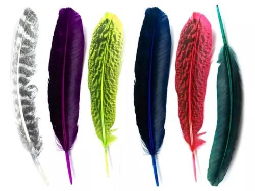 "Alas de Color: Paquete de 12 Plumas Pintadas de Guajolote o Pavo (25-30 cm)"