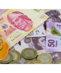 Dinero de Fantasía para Educación Financiera: Para Todas las Edades! 💸✨