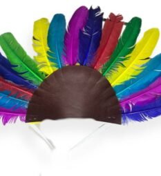 Penachos de Plumas Naturales para Disfraces y personificaciones