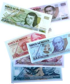 dinero para educación financiera